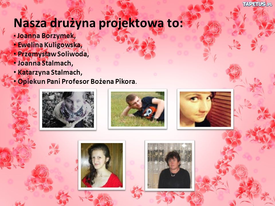 Nasza drużyna projektowa to: Joanna Borzymek, Ewelina Kuligowska, Przemysław Soliwoda, Joanna Stalmach, Katarzyna Stalmach, Opiekun Pani Profesor Bożena Pikora.