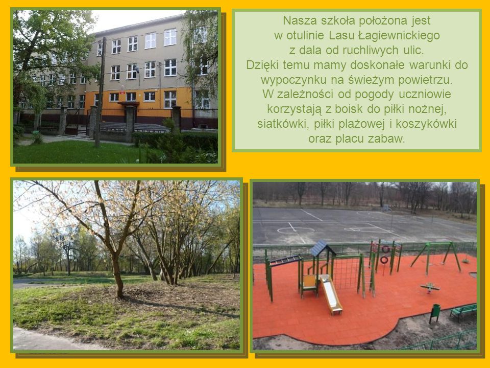 Nasza szkoła położona jest w otulinie Lasu Łagiewnickiego z dala od ruchliwych ulic.