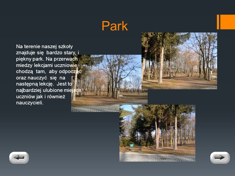 Park Na terenie naszej szkoły znajduje się bardzo stary, i piękny park.