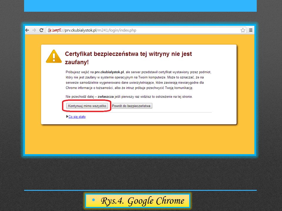 Rys.4. Google Chrome