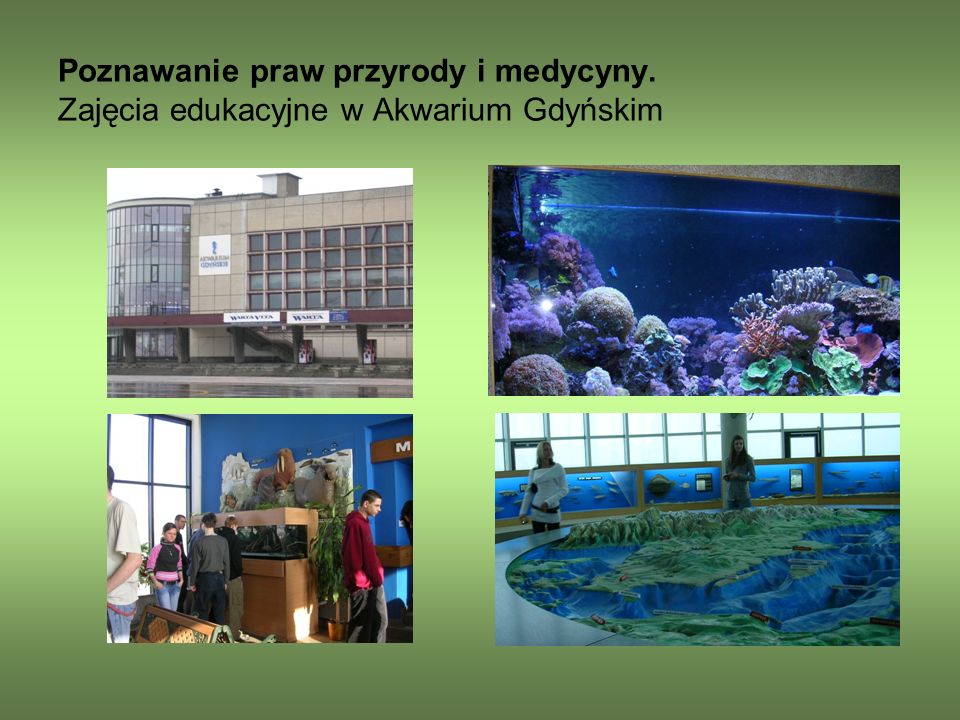 Poznawanie praw przyrody i medycyny. Zajęcia edukacyjne w Akwarium Gdyńskim