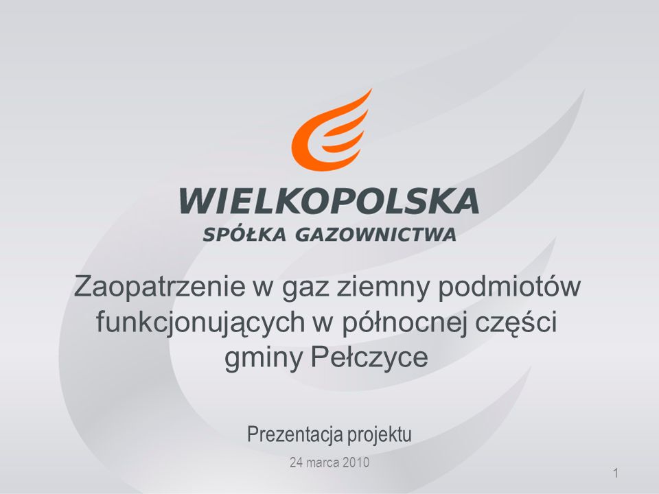 1 Zaopatrzenie w gaz ziemny podmiotów funkcjonujących w północnej części gminy Pełczyce Prezentacja projektu 24 marca 2010