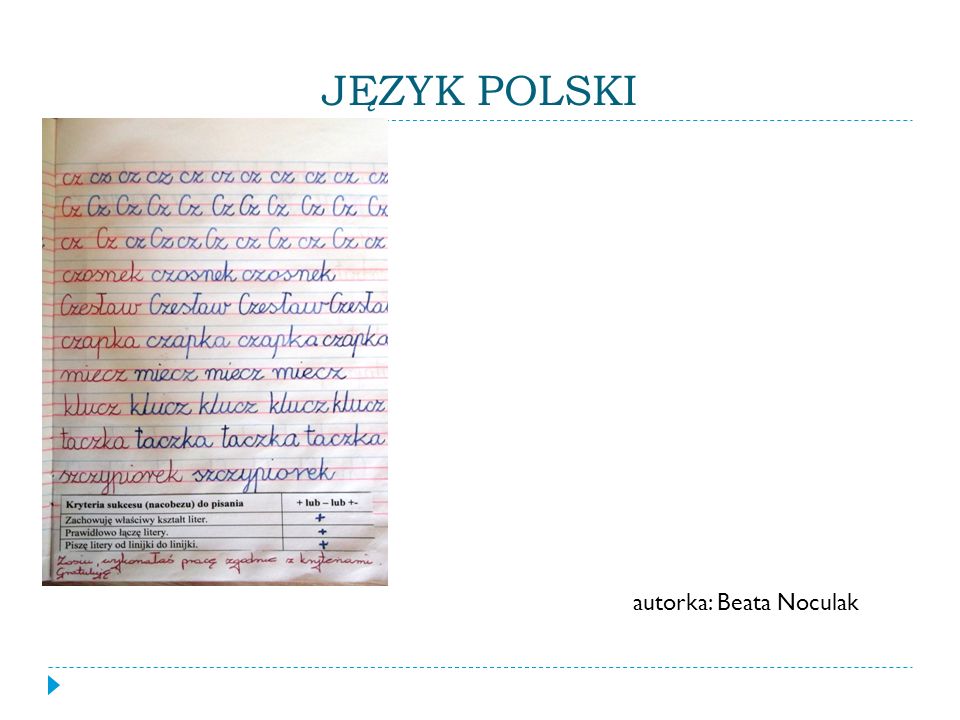 JĘZYK POLSKI autorka: Beata Noculak