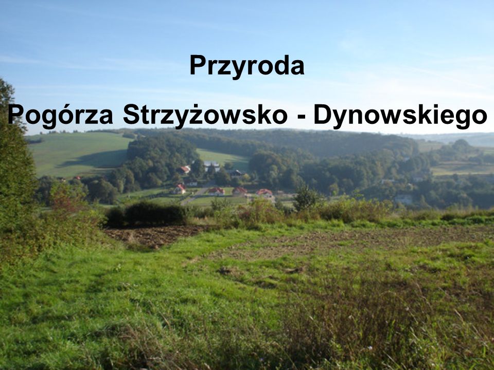 Przyroda Pogórza Strzyżowsko - Dynowskiego