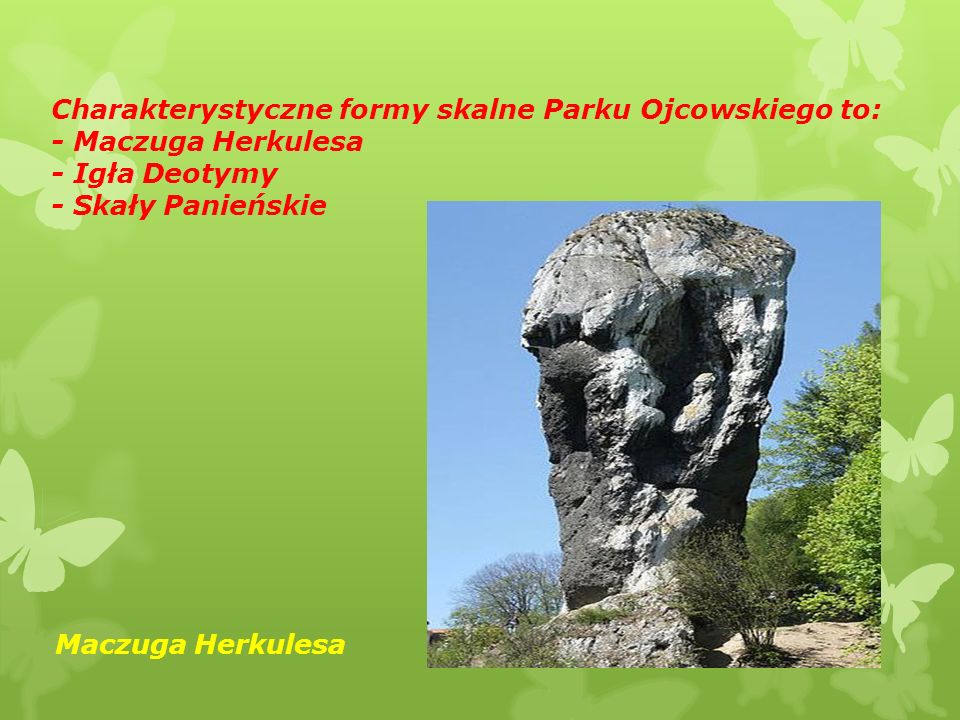 Charakterystyczne formy skalne Parku Ojcowskiego to: - Maczuga Herkulesa - Igła Deotymy - Skały Panieńskie Maczuga Herkulesa