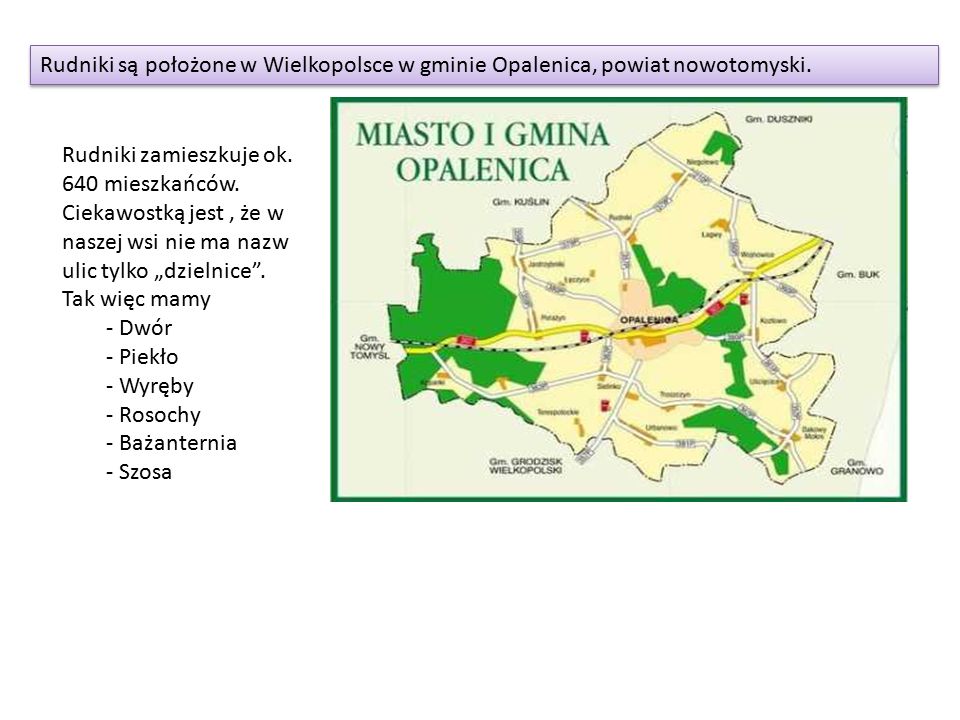 Rudniki są położone w Wielkopolsce w gminie Opalenica, powiat nowotomyski.
