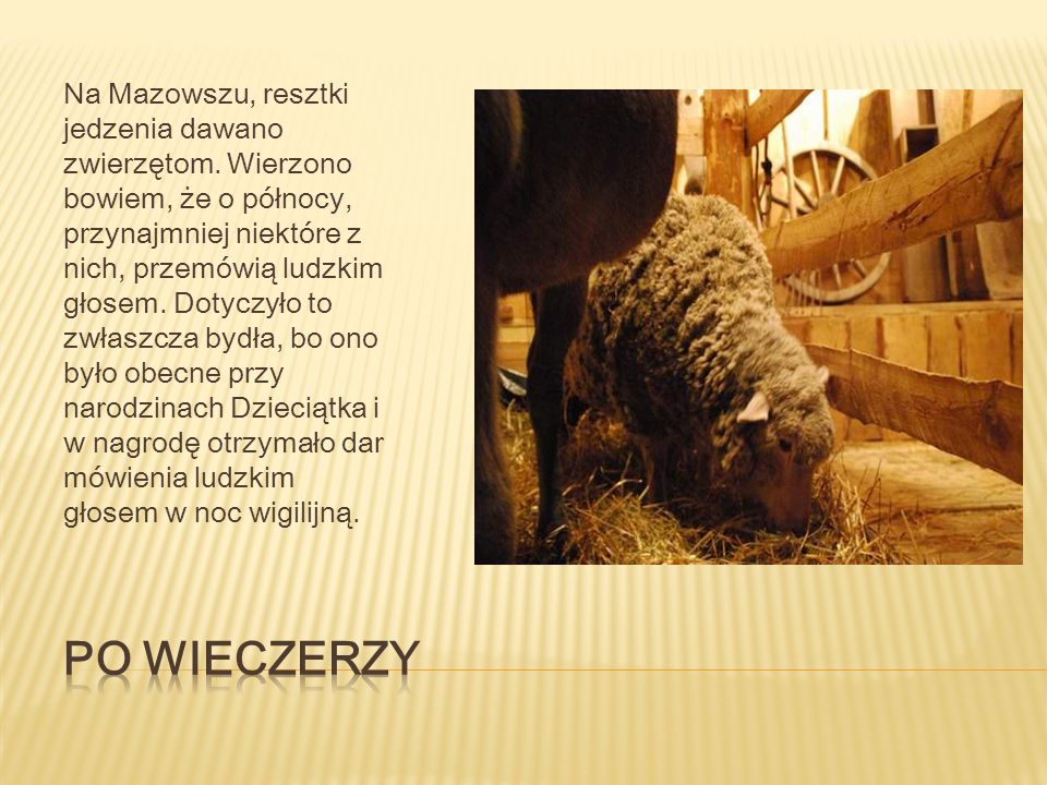 Dawniej po Wieczerzy w wielu częściach Polski praktykowano różne zwyczaje.