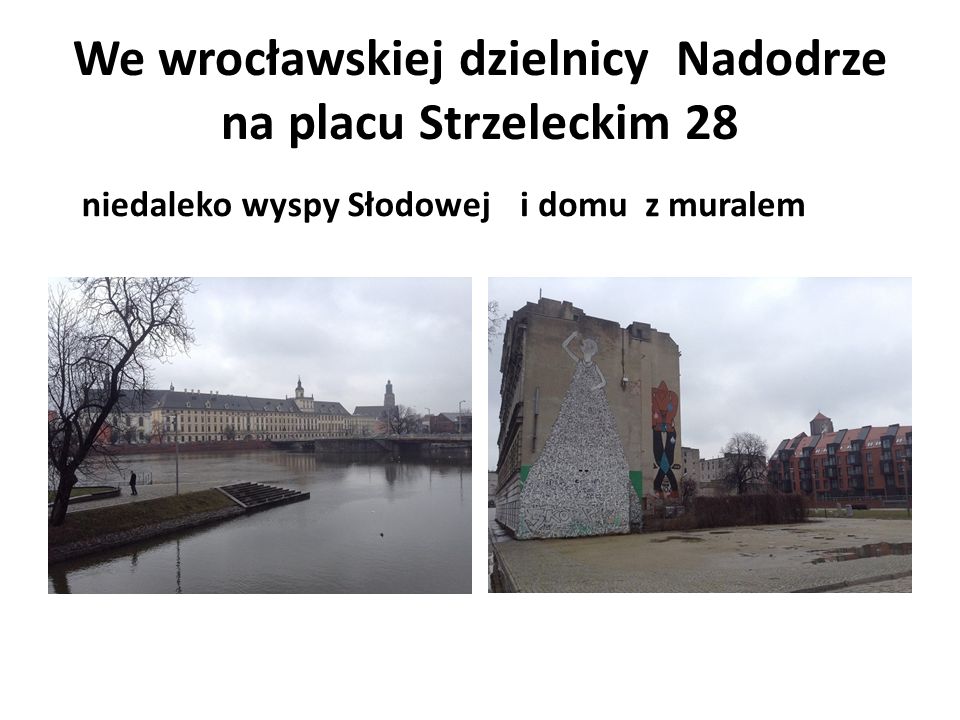 We wrocławskiej dzielnicy Nadodrze na placu Strzeleckim 28 niedaleko wyspy Słodoweji domu z muralem