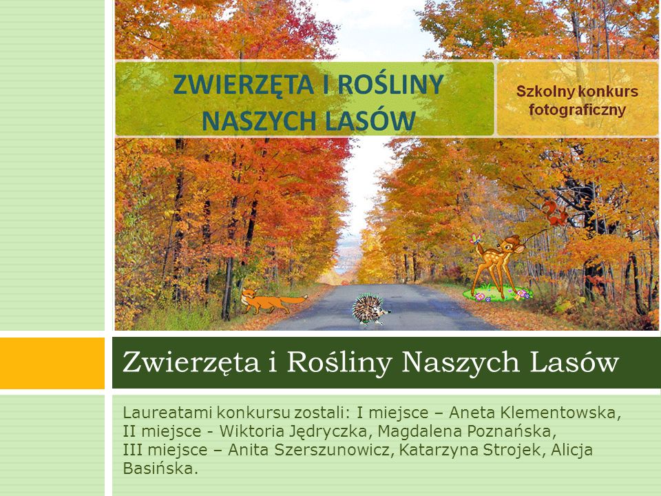 Laureatami konkursu zostali: I miejsce – Aneta Klementowska, II miejsce - Wiktoria Jędryczka, Magdalena Poznańska, III miejsce – Anita Szerszunowicz, Katarzyna Strojek, Alicja Basińska.