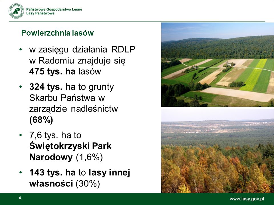 4 Powierzchnia lasów w zasięgu działania RDLP w Radomiu znajduje się 475 tys.