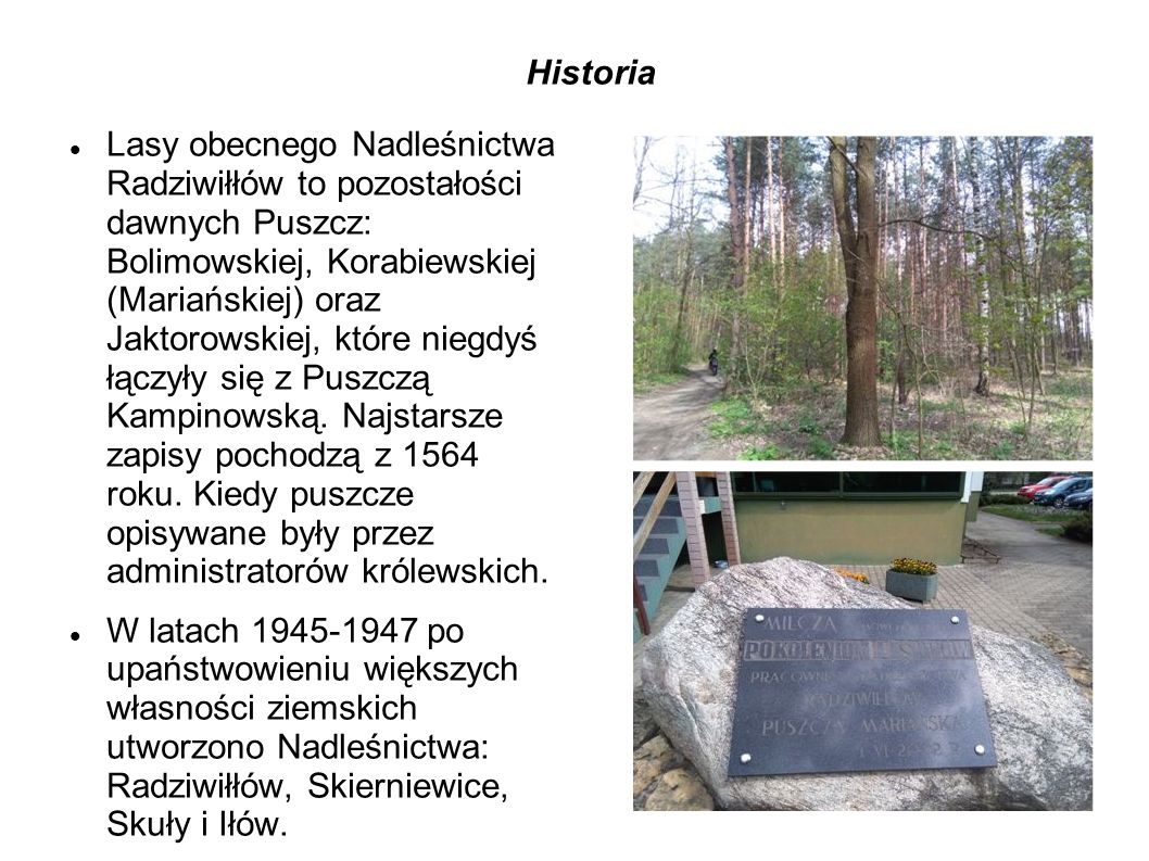 Historia Lasy obecnego Nadleśnictwa Radziwiłłów to pozostałości dawnych Puszcz: Bolimowskiej, Korabiewskiej (Mariańskiej) oraz Jaktorowskiej, które niegdyś łączyły się z Puszczą Kampinowską.