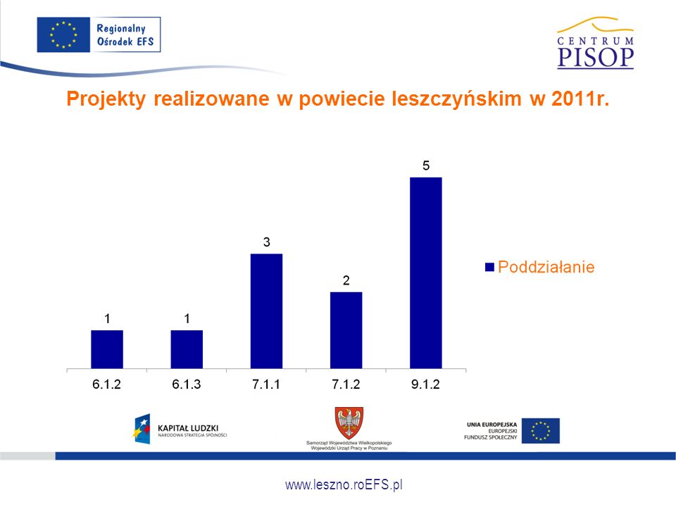 Projekty realizowane w powiecie leszczyńskim w 2011r.