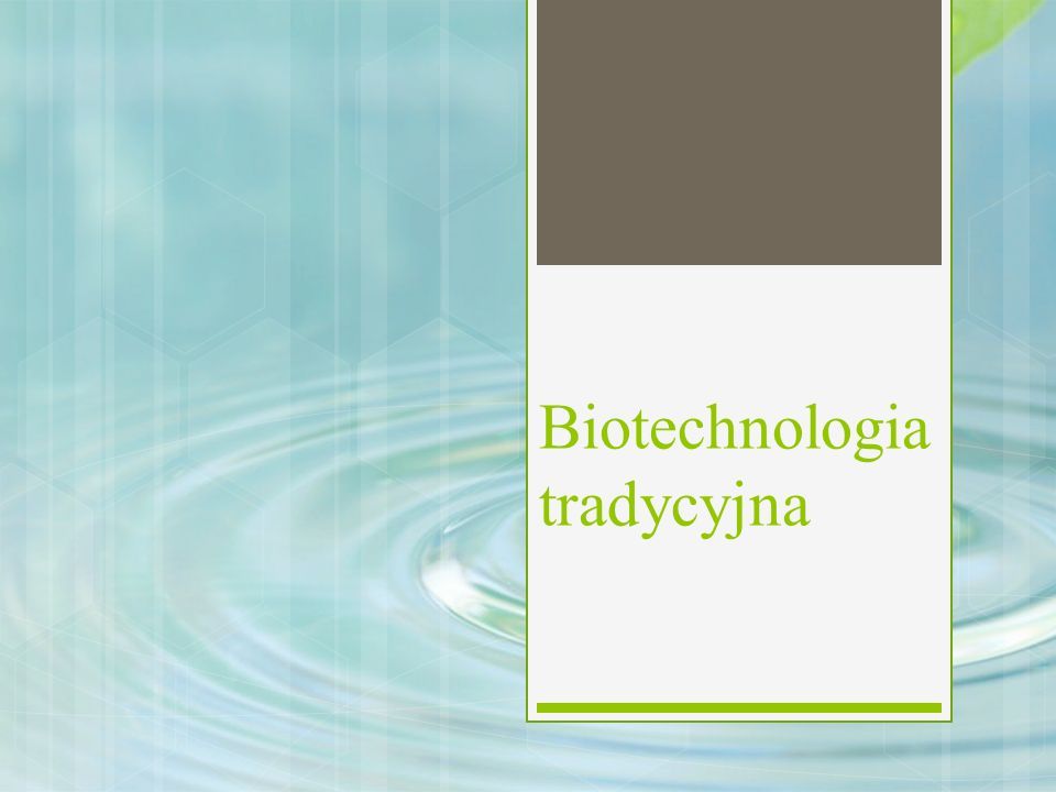 Biotechnologia tradycyjna